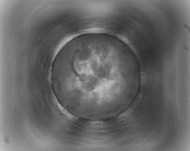 X0000100421421200806131048