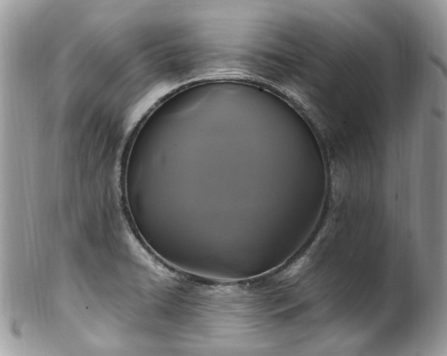 X0000100421422200806131048