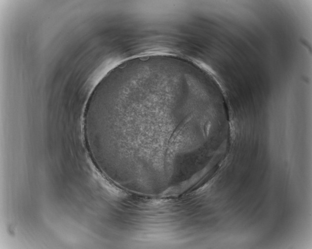 X0000100421423200806131048