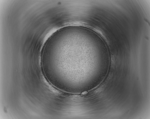 X0000100421424200806131048