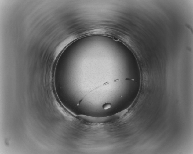 X0000100421426200806131049