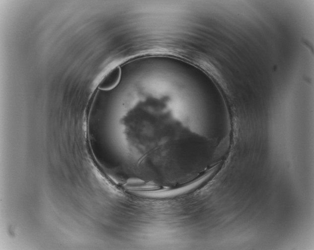 X0000100421428200806131049