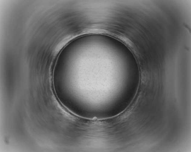 X0000100421430200806131049