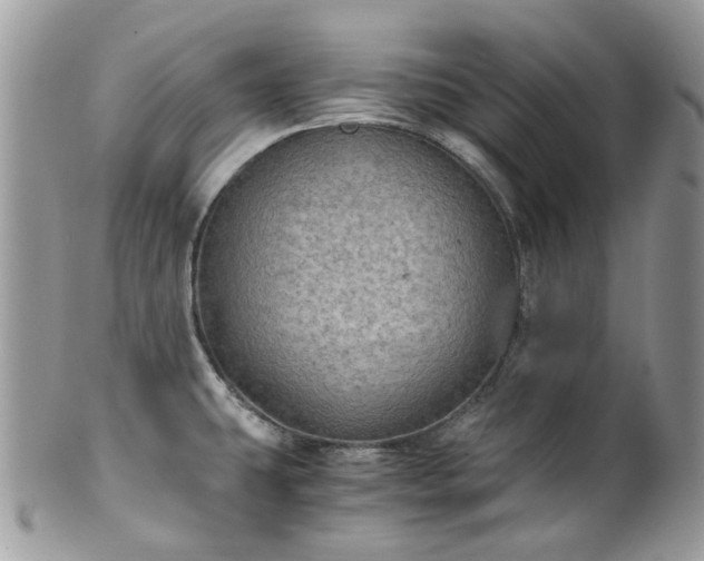 X0000100421431200806131049