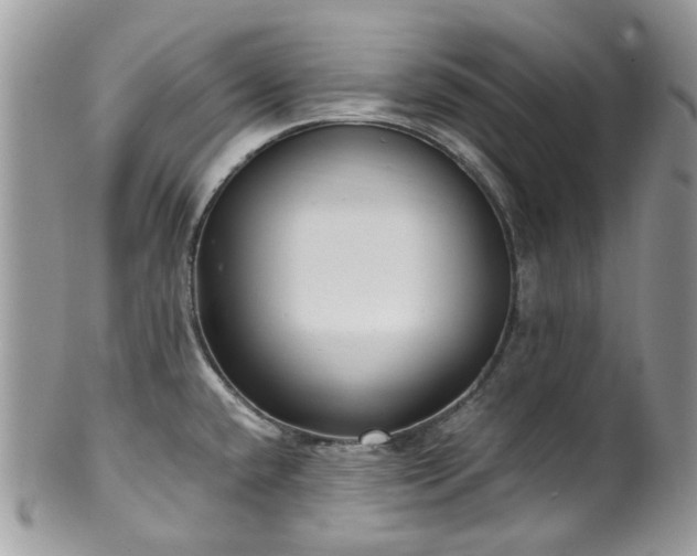 X0000100421432200806131049