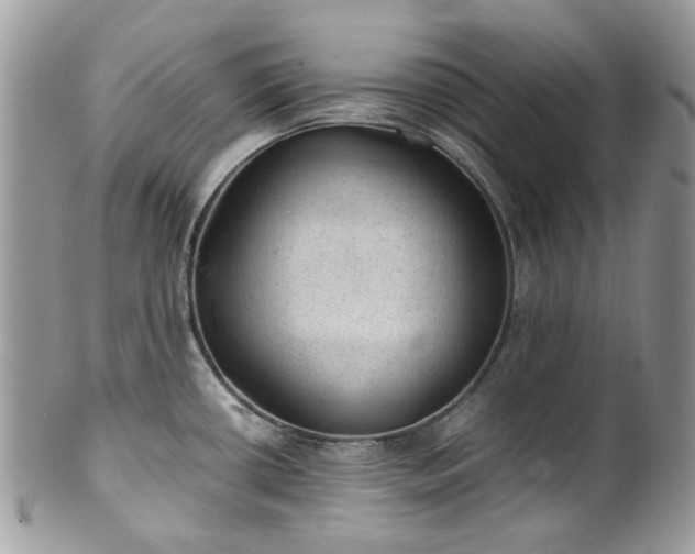 X0000100421434200806131049
