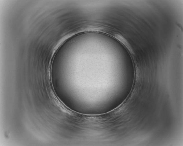 X0000100421436200806131049