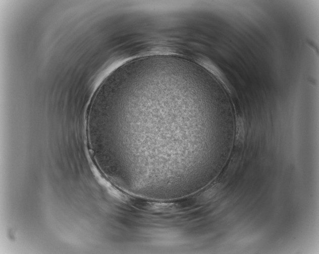 X0000100421439200806131049