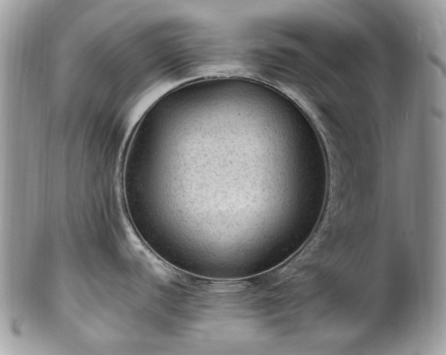 X0000100421440200806131049