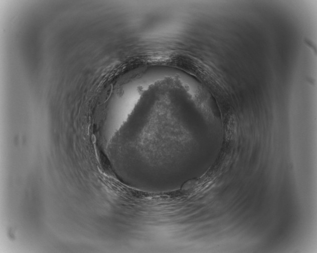 X0000100421441200806131048