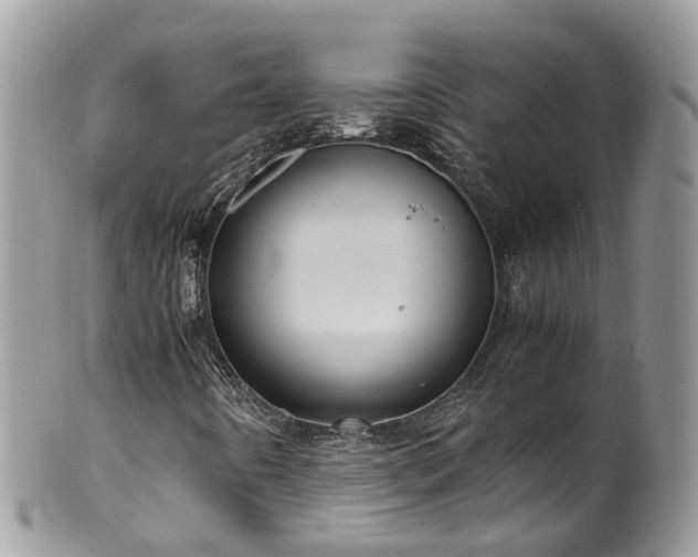 X0000100421442200806131048