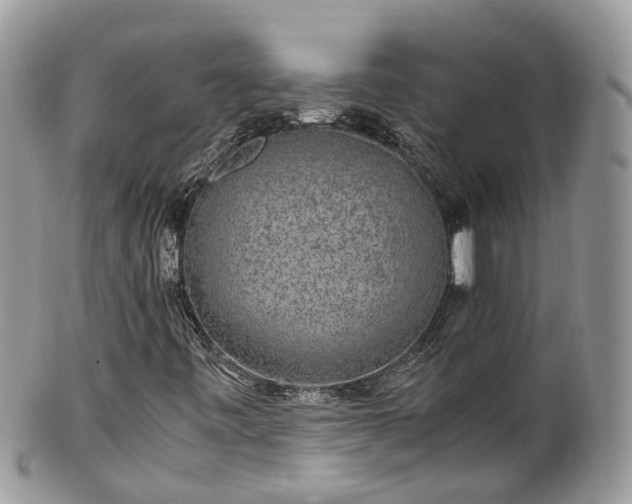 X0000100421443200806131048