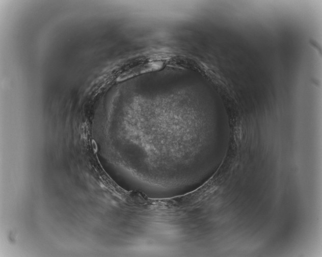 X0000100421445200806131048