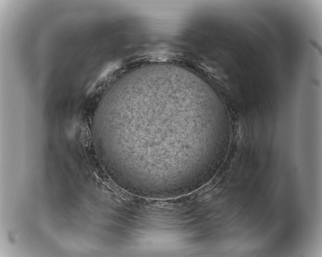 X0000100421446200806131048