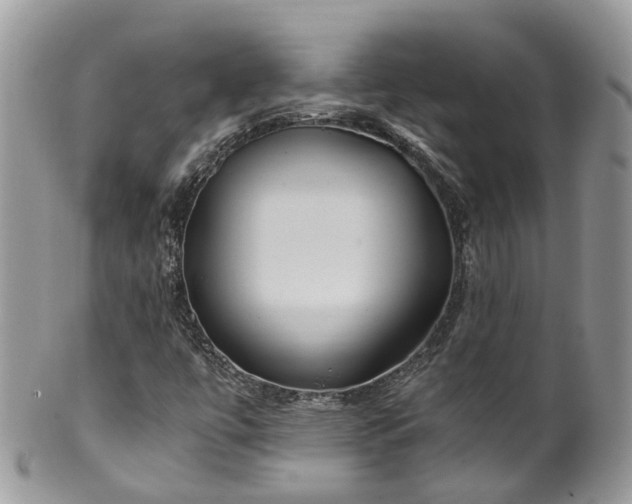 X0000100421447200806131048