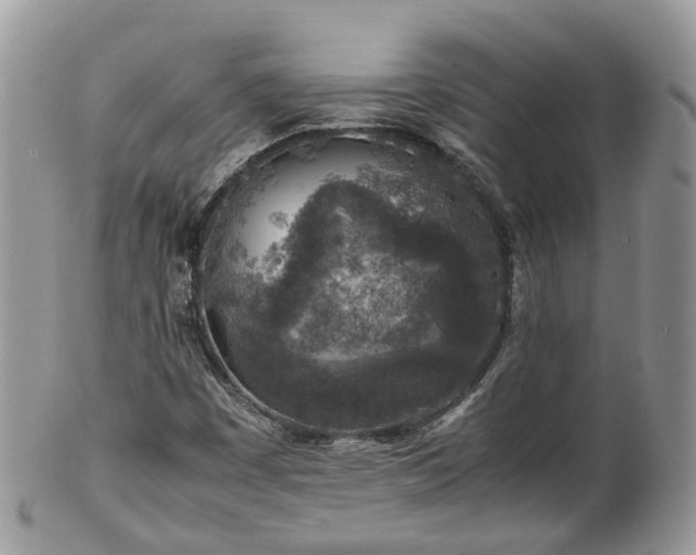 X0000100421449200806131048