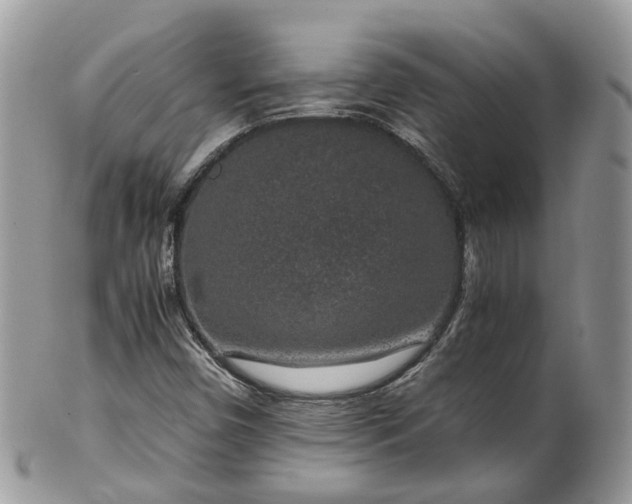 X0000100421450200806131048