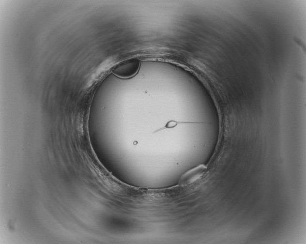 X0000100421451200806131048