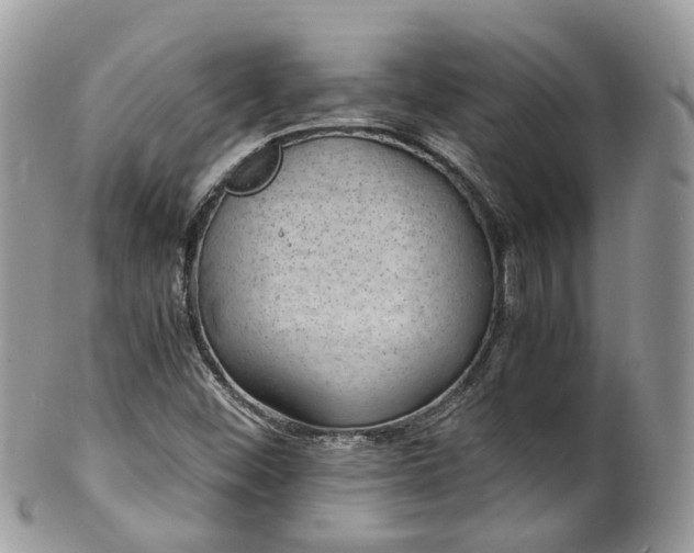 X0000100421452200806131048
