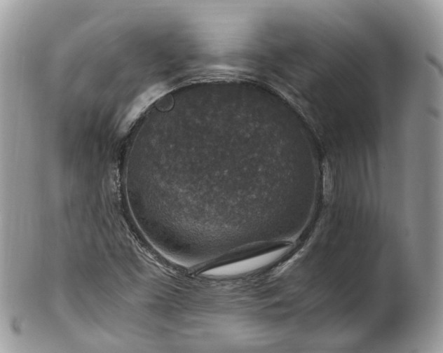 X0000100421453200806131048