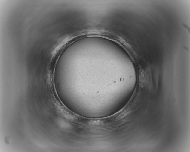X0000100421454200806131048