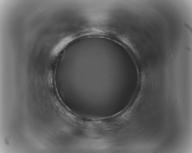X0000100421455200806131048