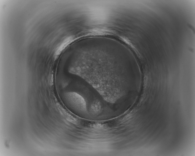 X0000100421459200806131048