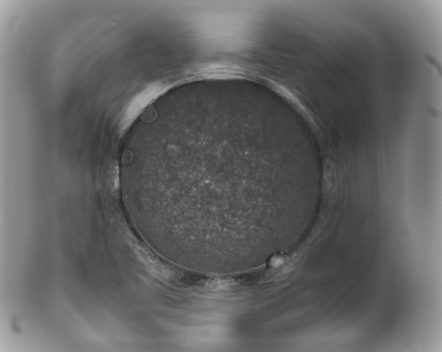 X0000100421461200806131048