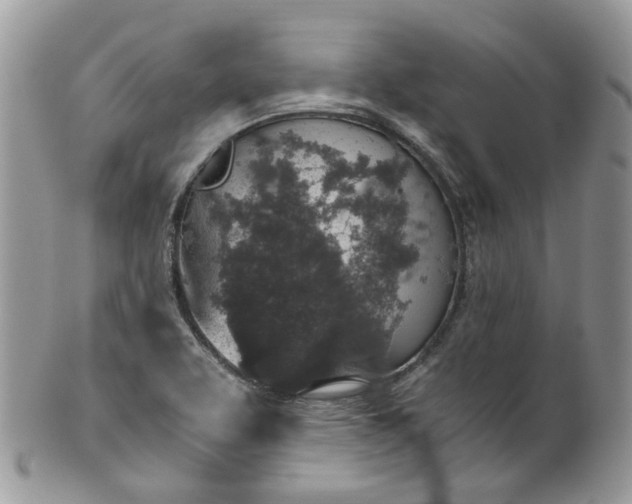 X0000100421463200806131048