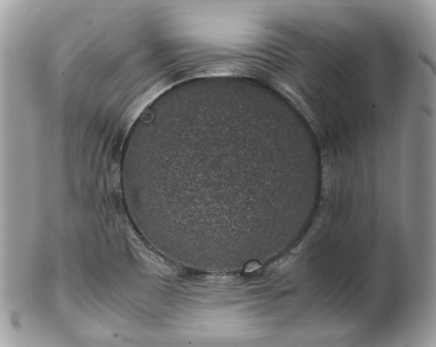 X0000100421465200806131048