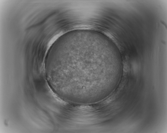 X0000100421466200806131048