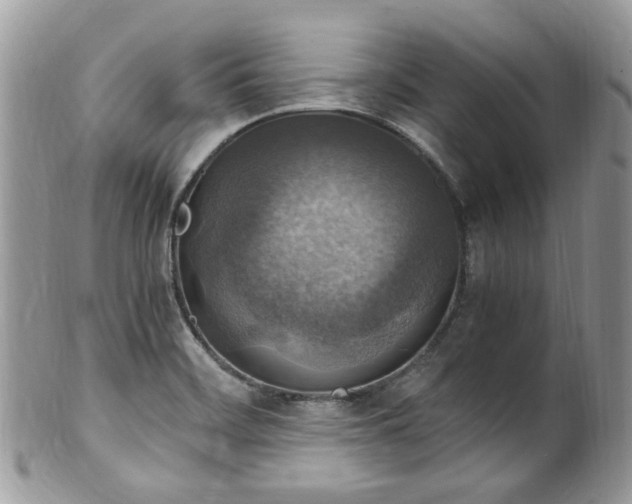 X0000100421468200806131048