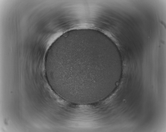 X0000100421469200806131048