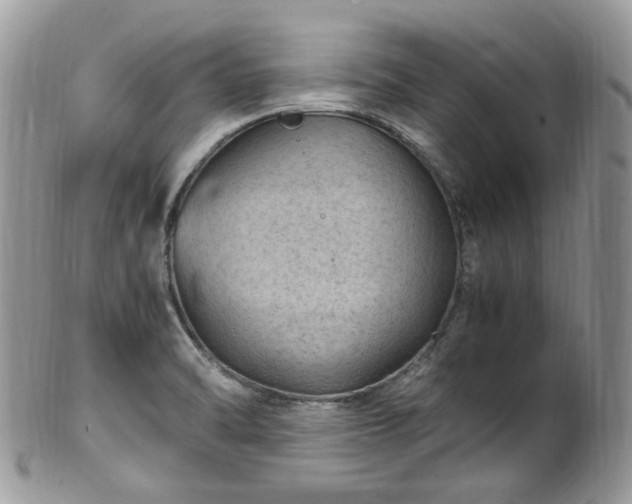 X0000100421470200806131047