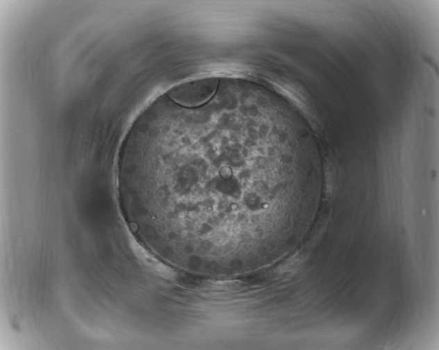 X0000100421471200806131047