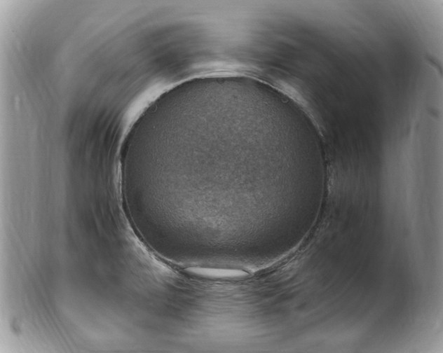 X0000100421472200806131047