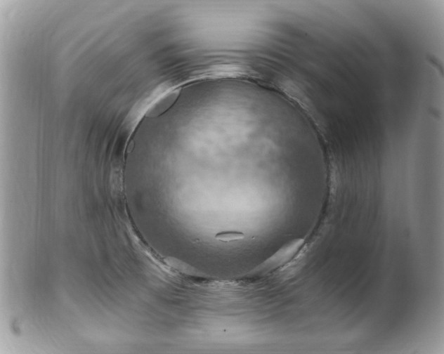 X0000100421473200806131047