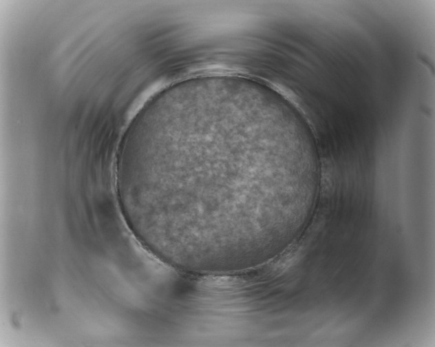 X0000100421474200806131047