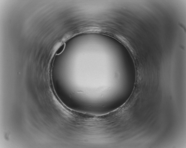 X0000100421475200806131047
