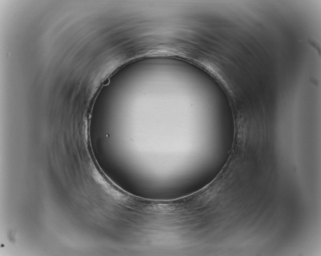 X0000100421476200806131047