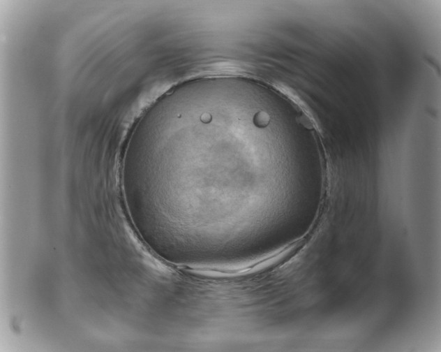 X0000100421477200806131047