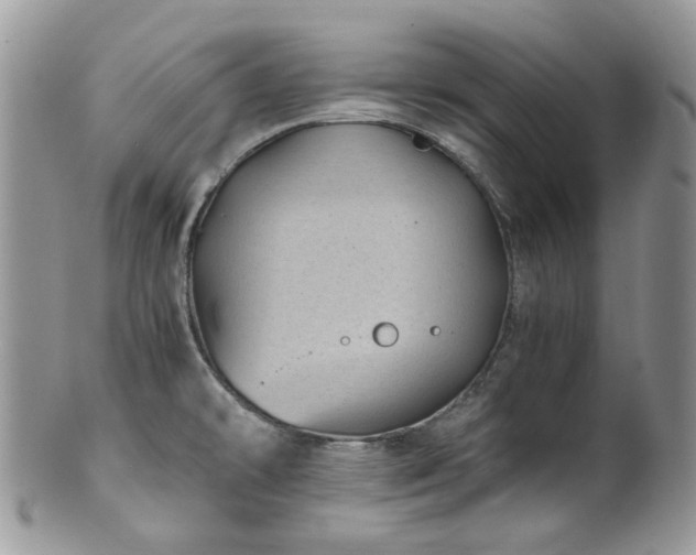 X0000100421478200806131047