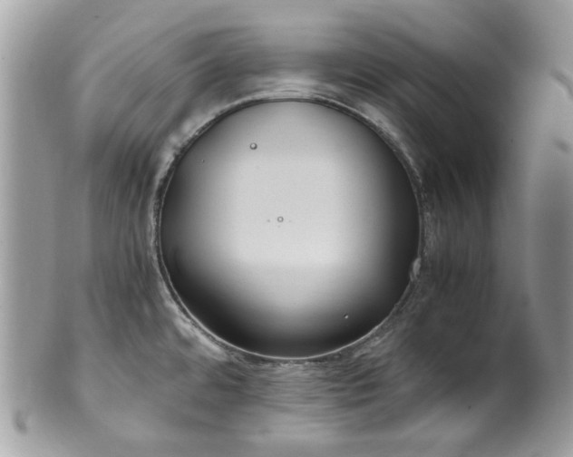 X0000100421480200806131047