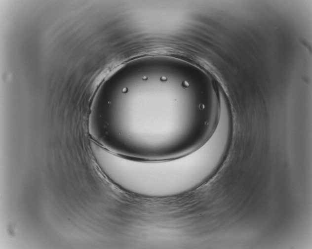X0000100421481200806131047