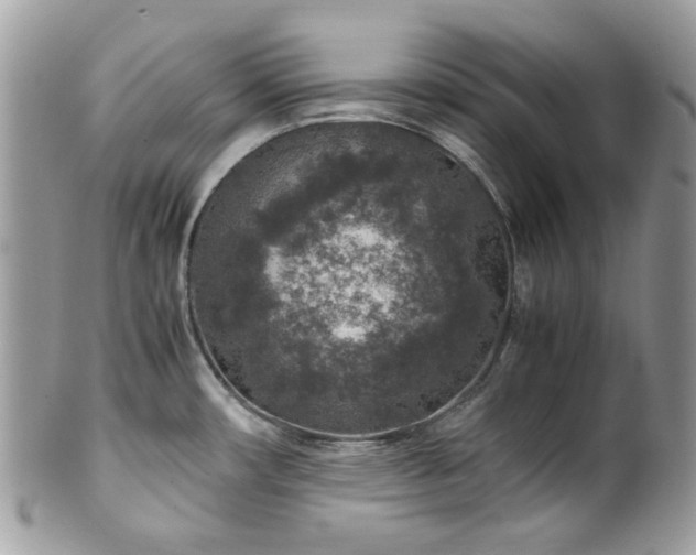 X0000100421482200806131047