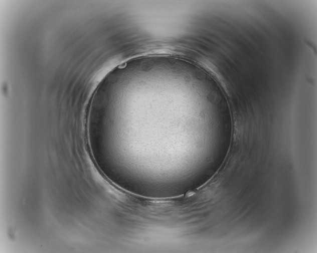 X0000100421483200806131047