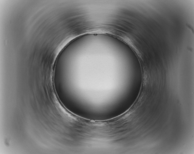 X0000100421484200806131047