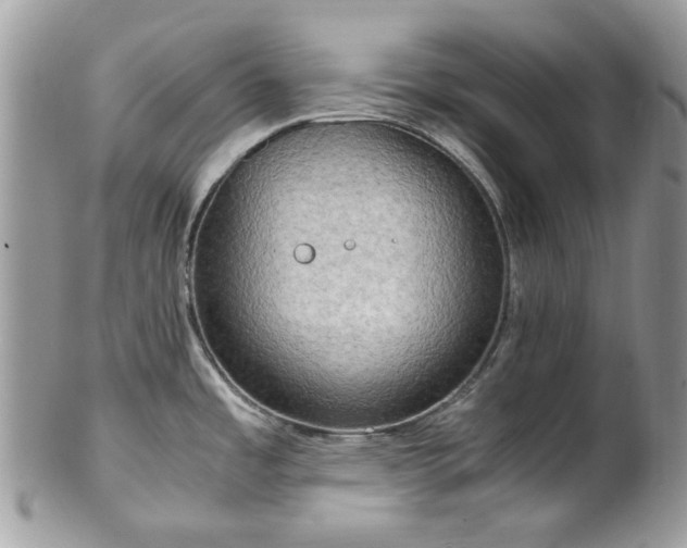 X0000100421485200806131047