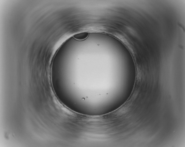 X0000100421486200806131047