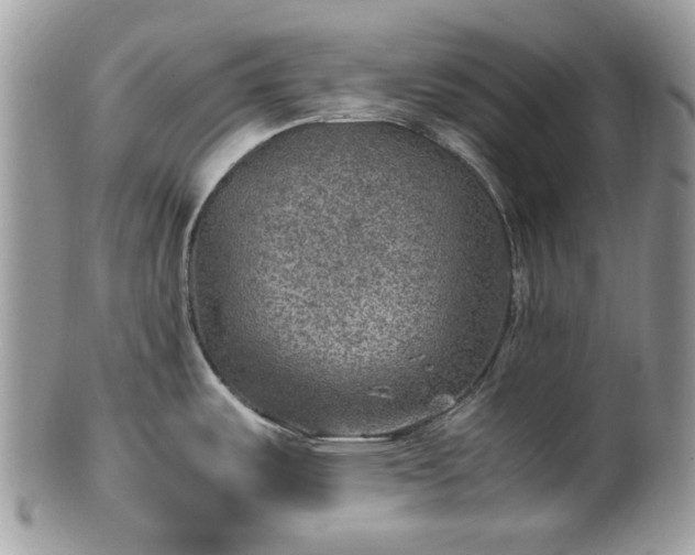 X0000100421487200806131047